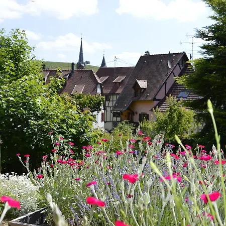 Des Ecureuils
