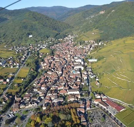 Des Ecureuils