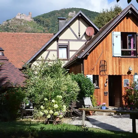 Des Ecureuils Σαλέ Ribeauvillé
